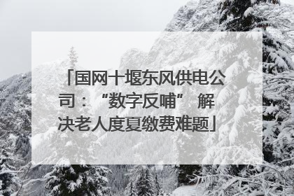 国网十堰东风供电公司：“数字反哺” 解决老人度夏缴费难题
