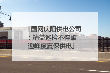 国网庆阳供电公司：精益巡检不停歇 迎峰度夏保供电