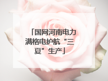 国网河南电力满格电护航“三夏”生产
