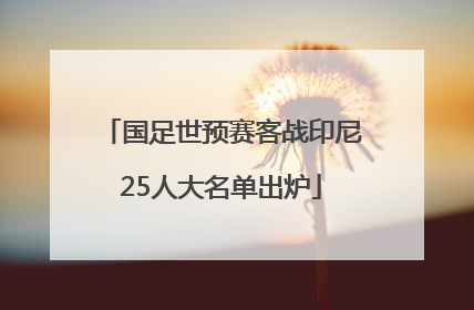 国足世预赛客战印尼25人大名单出炉