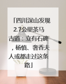 四川深山发现2.7公里茶马古道：立有石碑，杨慎、奢香夫人或都走过这条路
