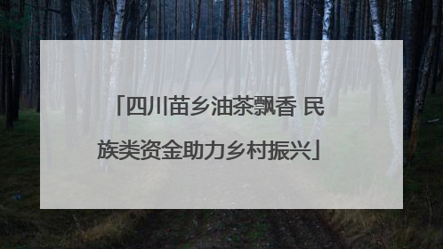 四川苗乡油茶飘香 民族类资金助力乡村振兴