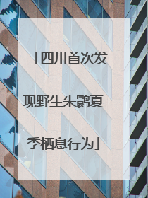 四川首次发现野生朱鹮夏季栖息行为