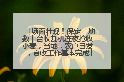 场面壮观！保定一地数十台收割机连夜抢收小麦，当地：农户自发，夏收工作基本完成