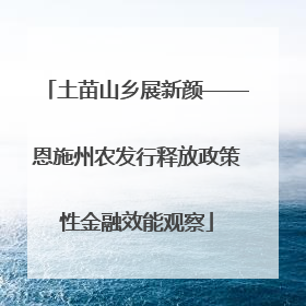 土苗山乡展新颜——恩施州农发行释放政策性金融效能观察