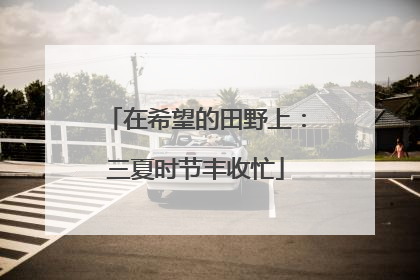 在希望的田野上：三夏时节丰收忙