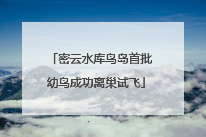 密云水库鸟岛首批幼鸟成功离巢试飞