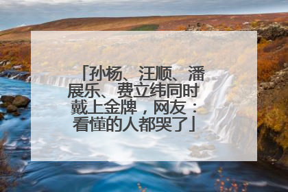 孙杨、汪顺、潘展乐、费立纬同时戴上金牌，网友：看懂的人都哭了