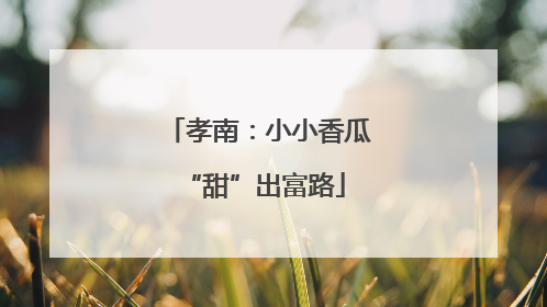 孝南：小小香瓜 “甜”出富路