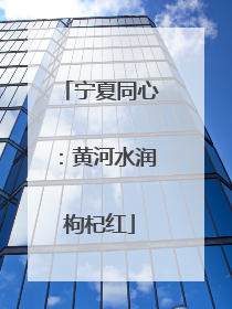 宁夏同心：黄河水润枸杞红