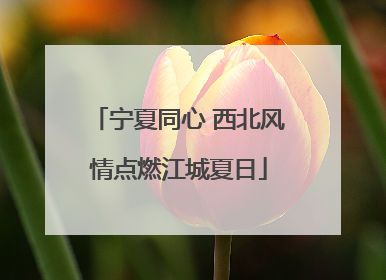 宁夏同心 西北风情点燃江城夏日