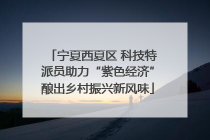 宁夏西夏区 科技特派员助力“紫色经济”酿出乡村振兴新风味
