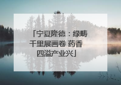 宁夏隆德：绿畴千里展画卷 药香四溢产业兴
