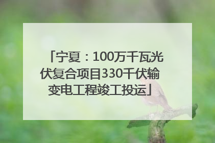 宁夏：100万千瓦光伏复合项目330千伏输变电工程竣工投运