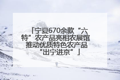 宁夏670余款“六特”农产品亮相农展馆 推动优质特色农产品“出宁进京”