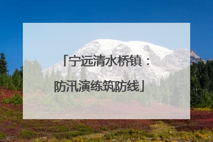 宁远清水桥镇：防汛演练筑防线