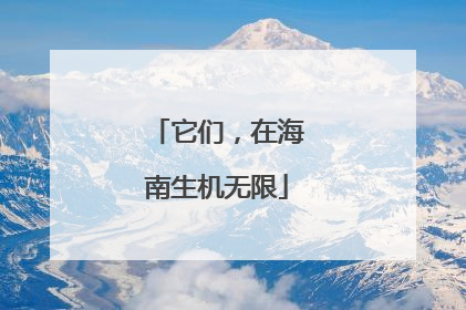 它们，在海南生机无限