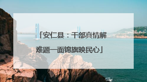 安仁县：干部真情解难题一面锦旗映民心