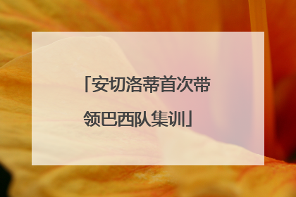 安切洛蒂首次带领巴西队集训