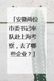 安徽两位市委书记率队赴上海考察，去了哪些企业？