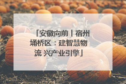 安徽向前丨宿州埇桥区：建智慧物流 兴产业引擎