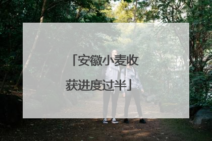 安徽小麦收获进度过半