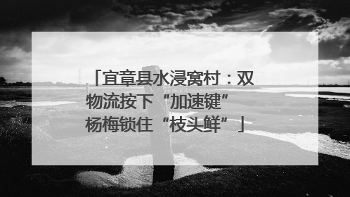 宜章县水浸窝村：双物流按下“加速键” 杨梅锁住“枝头鲜”