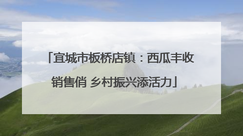 宜城市板桥店镇：西瓜丰收销售俏 乡村振兴添活力
