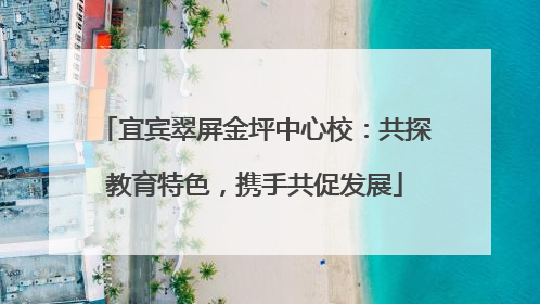 宜宾翠屏金坪中心校：共探教育特色，携手共促发展