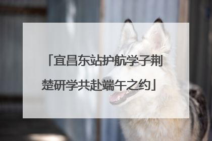 宜昌东站护航学子荆楚研学共赴端午之约