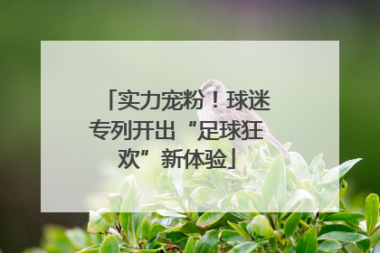 实力宠粉！球迷专列开出“足球狂欢”新体验