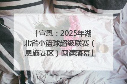 宣恩：2025年湖北省小篮球超级联赛（恩施赛区）圆满落幕