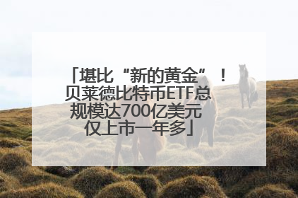 堪比“新的黄金”！贝莱德比特币ETF总规模达700亿美元 仅上市一年多