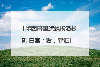 墨西哥国旗飘扬洛杉矶 白宫：看，罪证