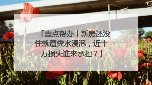 壹点帮办丨新房还没住就遭粪水浸泡，近十万损失谁来承担？