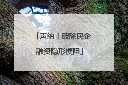 声纳丨破除民企融资隐形梗阻