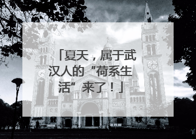 夏天，属于武汉人的“荷系生活”来了！