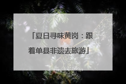 夏日寻味黄岗：跟着单县非遗去旅游