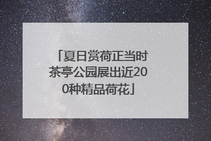 夏日赏荷正当时 茶亭公园展出近200种精品荷花