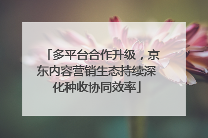 多平台合作升级，京东内容营销生态持续深化种收协同效率