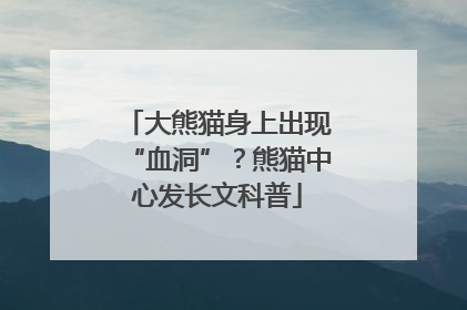 大熊猫身上出现“血洞”？熊猫中心发长文科普