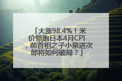 大涨98.4%！米价领跑日本4月CPI，前首相之子小泉进次郎将如何破局？