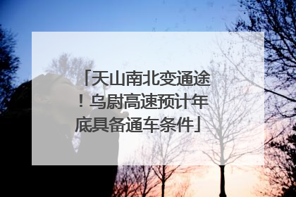 天山南北变通途！乌尉高速预计年底具备通车条件