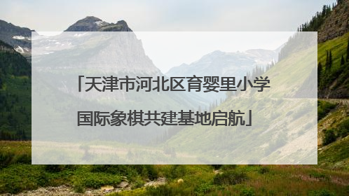 天津市河北区育婴里小学国际象棋共建基地启航
