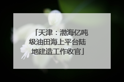 天津：渤海亿吨级油田海上平台陆地建造工作收官