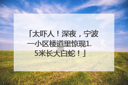 太吓人！深夜，宁波一小区楼道里惊现1.5米长大白蛇！
