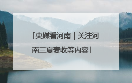 央媒看河南｜关注河南三夏麦收等内容