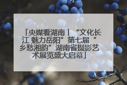 央媒看湖南丨“文化长江 魅力岳阳”第七届“乡愁湘韵”湖南省摄影艺术展览盛大启幕