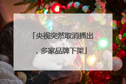 央视突然取消播出，多家品牌下架