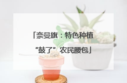 奈曼旗：特色种植“鼓了”农民腰包